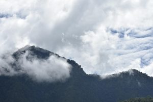 Free Online Betting in Uttarakhand: Complete 2026 Guide for Indian Players